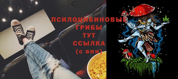2c-b Алексеевка