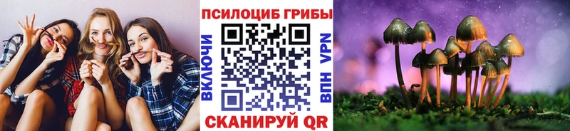 где купить наркоту  Калач  площадка наркотические препараты  Галлюциногенные грибы Psilocybe 